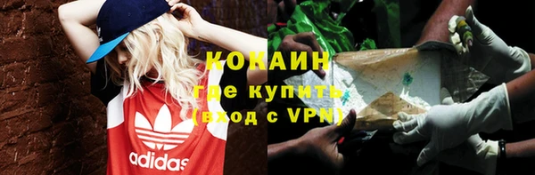ГАЛЛЮЦИНОГЕННЫЕ ГРИБЫ Каменногорск