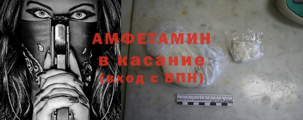 мдпв Каменка