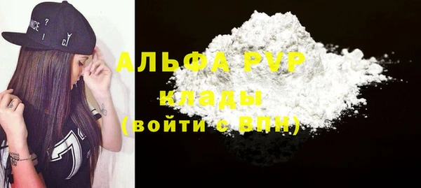 мдпв Каменка