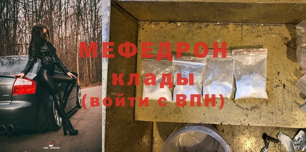 мдпв Каменка