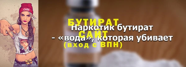 мдпв Каменка