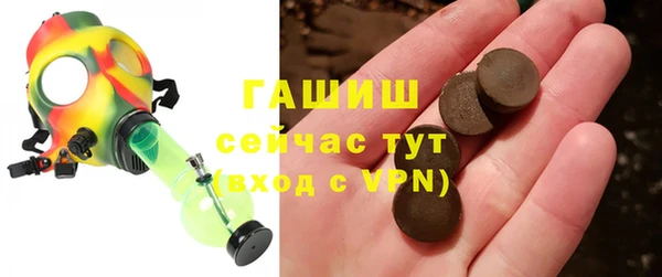 мдпв Каменка