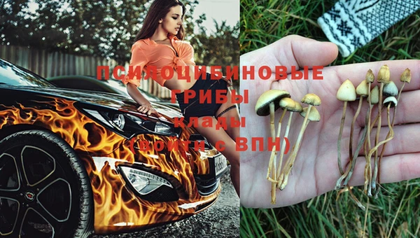 ГАЛЛЮЦИНОГЕННЫЕ ГРИБЫ Каменногорск