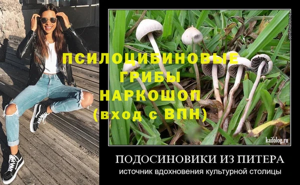 apvp Каменск-Шахтинский