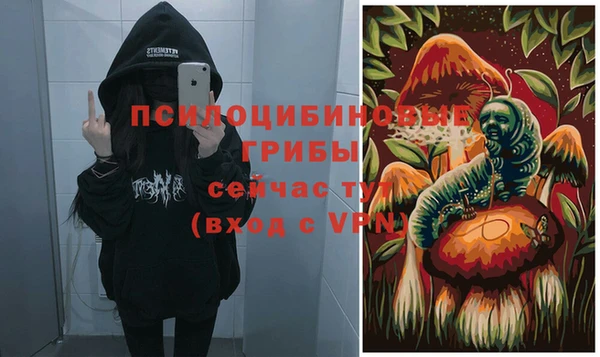 apvp Каменск-Шахтинский