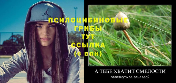 мдпв Каменка