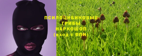 ГАЛЛЮЦИНОГЕННЫЕ ГРИБЫ Каменногорск
