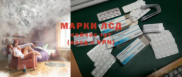 мдпв Каменка