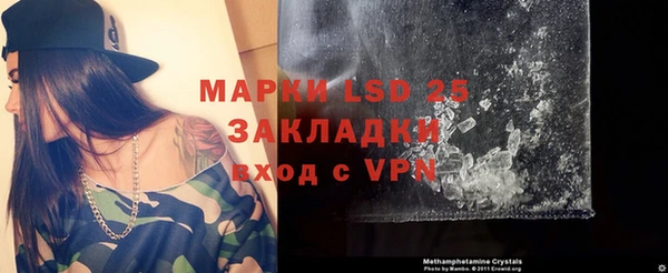 ГАЛЛЮЦИНОГЕННЫЕ ГРИБЫ Каменногорск