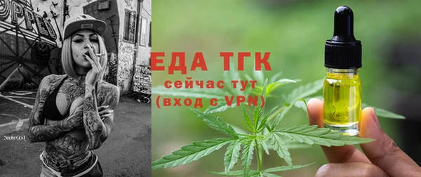 мдпв Каменка
