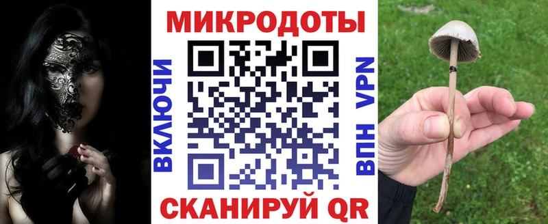хочу наркоту Кашира Галлюциногенные грибы Psilocybine cubensis