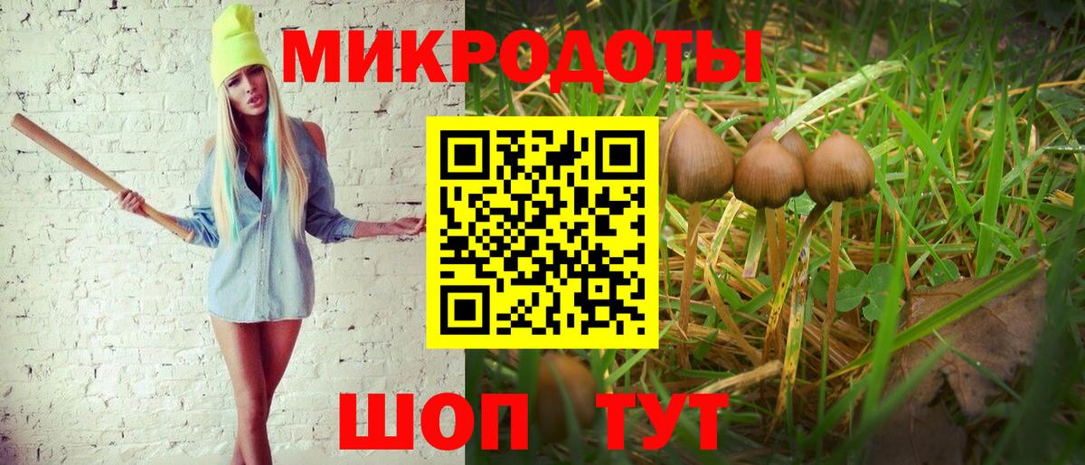 Псилоцибиновые грибы GOLDEN TEACHER  Псилоцибиновые грибы мицелий  Вход с VPN  Кашира 